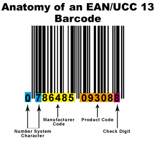 EAN Anatomy